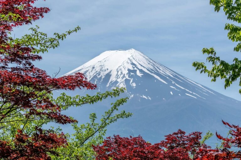 Stunning view of Mount Fuji framed by colorful foliage, a classic landmark of Japan.