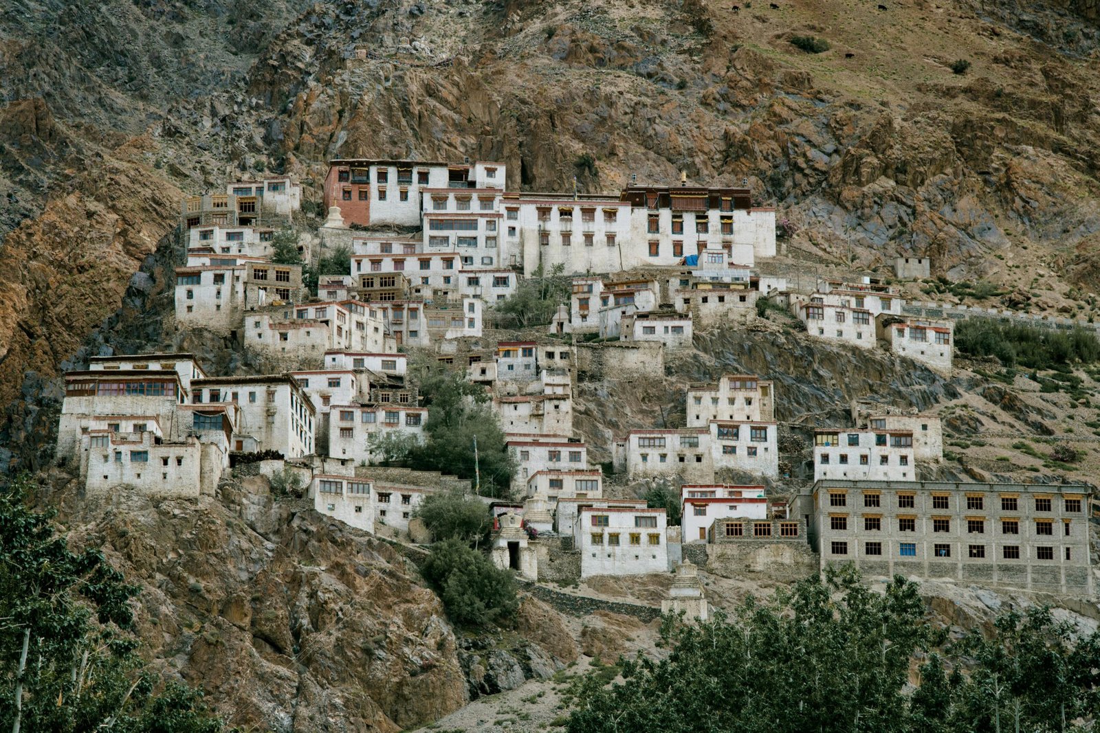 Discover the serene beauty of Lingshed Monastery nestled in Ladakh's rugged mountains.